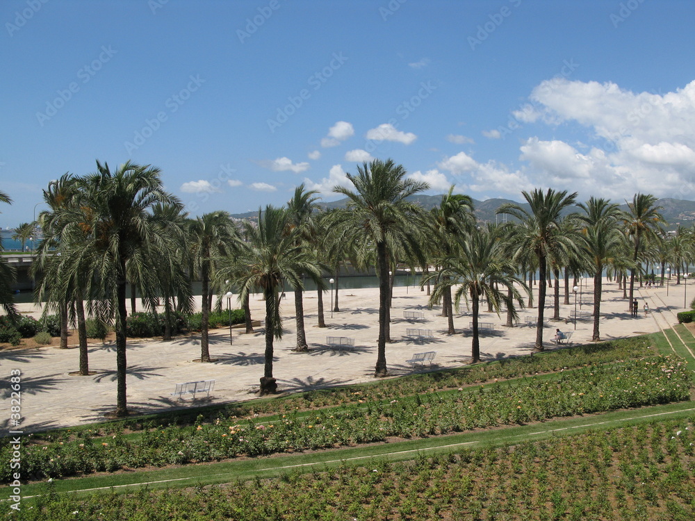 Fototapeta premium Palma Mallorca spain