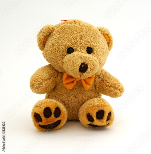Photos Teddy bear
