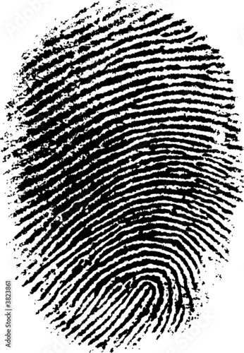 Highly detailed fingerprint