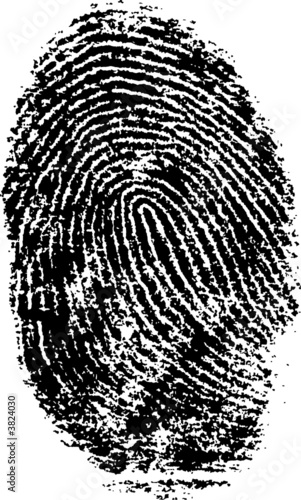 Highly detailed fingerprint