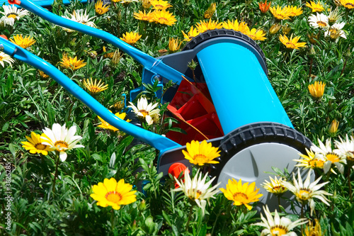 Manual mower in flowers, kind of environment concept