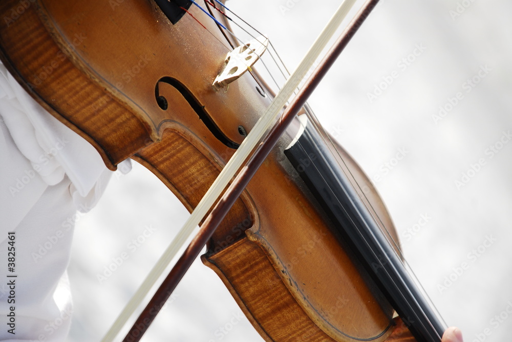 violin