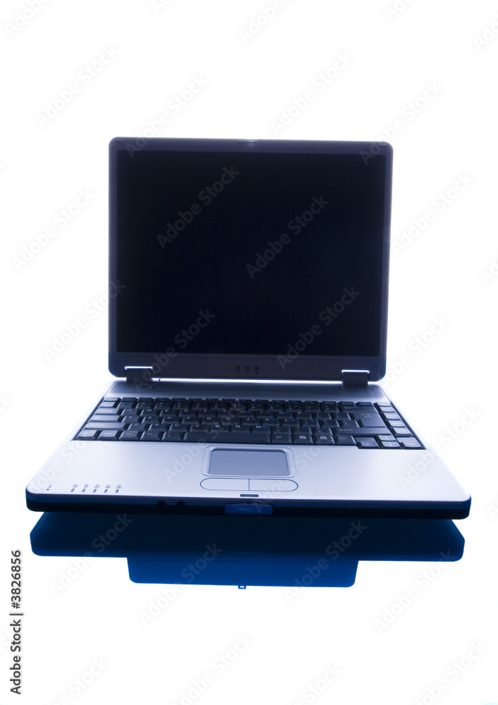 Fototapeta premium laptop