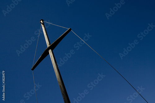 Konstfotografi Albero Maestro