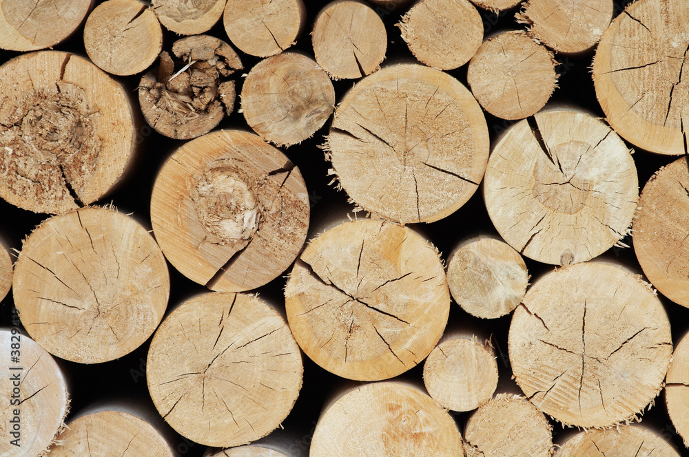 Close-up of wooden logs as abstract natural background.. Close-up of wooden logs as abstract natural background..