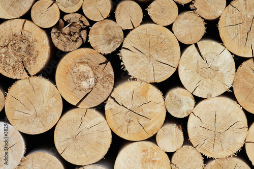 Close-up of wooden logs as abstract natural background..