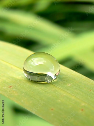 Goutte d'eau