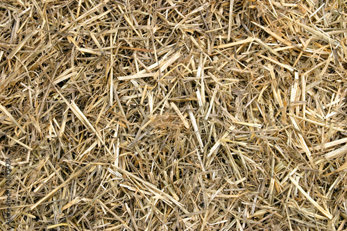 Close-up of hay.
