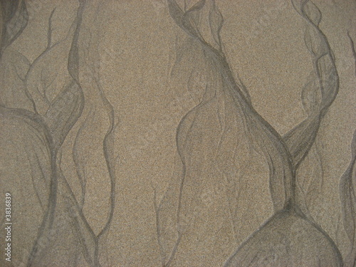 Sandy bg