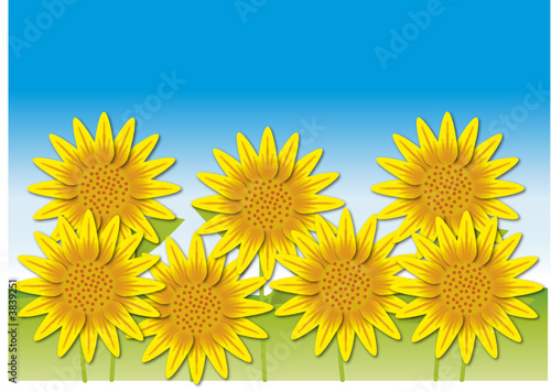 GIRASOLE