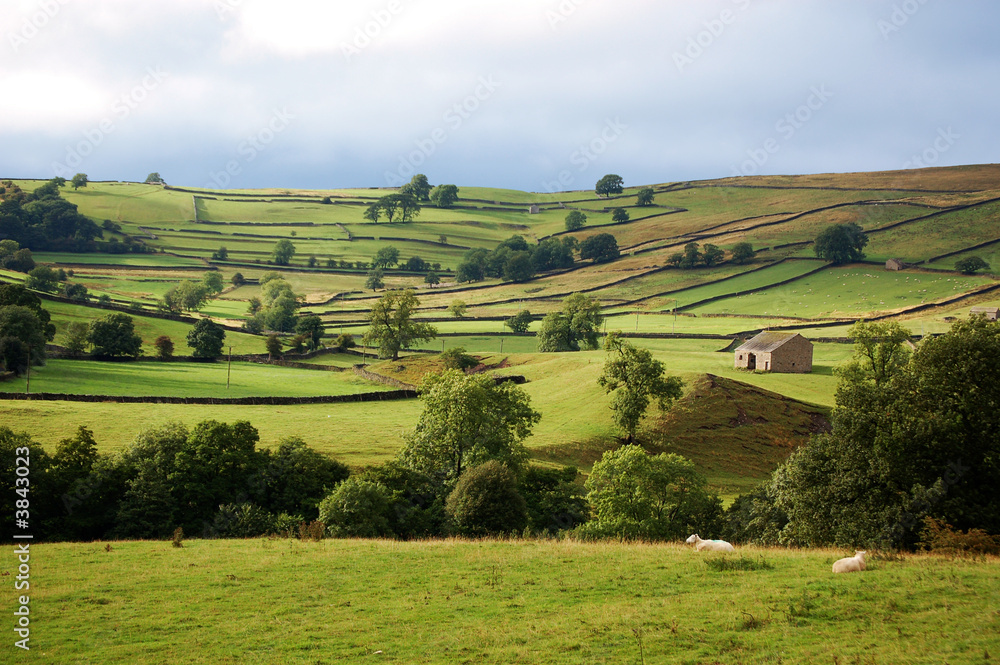 Wharfedale in the Yorkshire dales