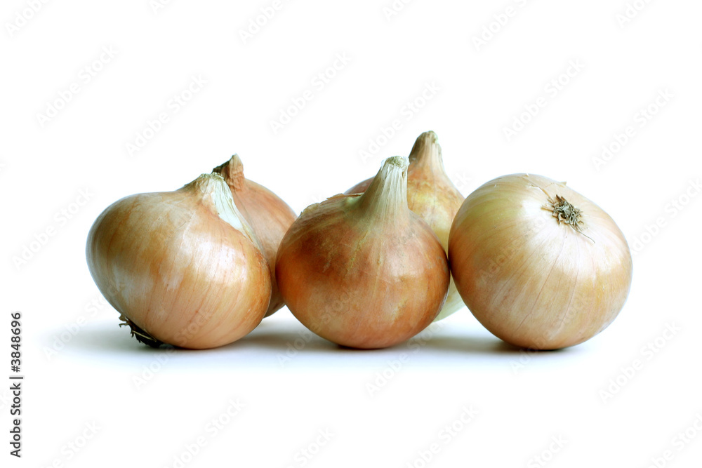 Onion on the white background