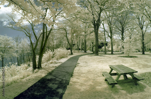 Picnic table in the park by the lake in infrared.