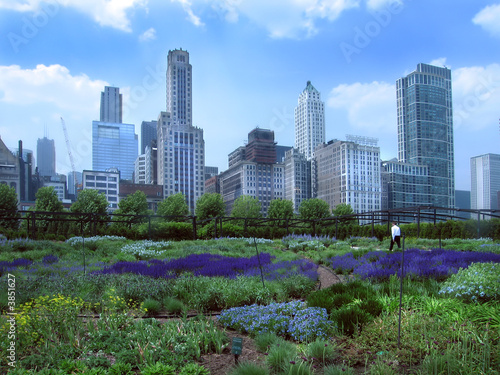 Buisiness man walking in Chicago's Millenium Park