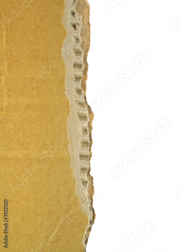 close-up of rough cardboard edge with white copy space photo