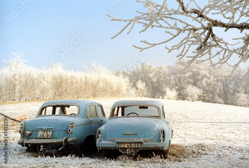 Frostige Zeiten photo