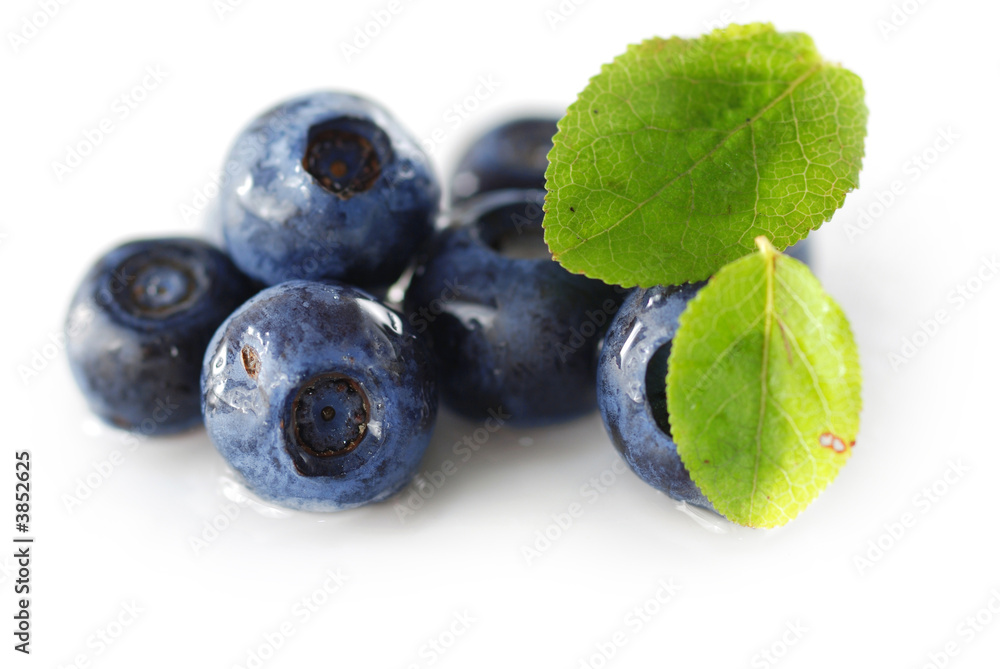 Blueberries over white background. Shallow depth of field.