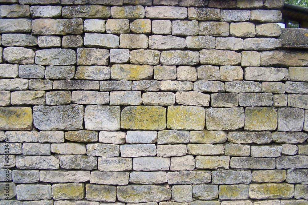 Fototapeta premium Ancient brick wall