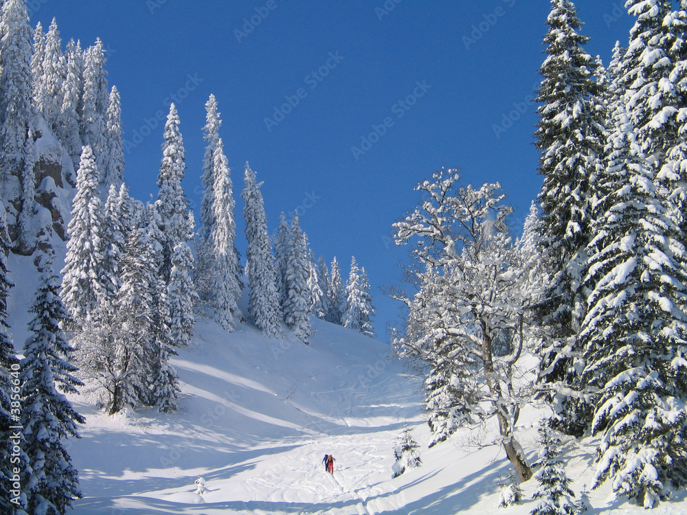 Skitour zum Tennemooskopf