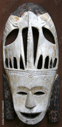 Canvas Print Mask
