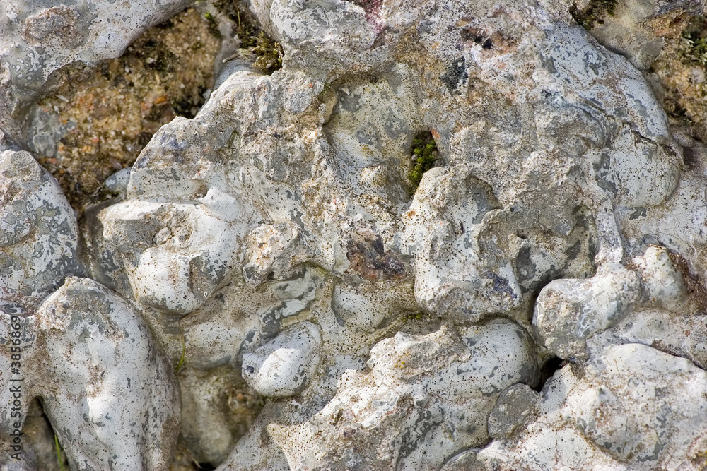 gray and white texture of old stone