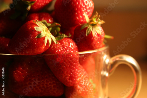 Canvas Print strawberries