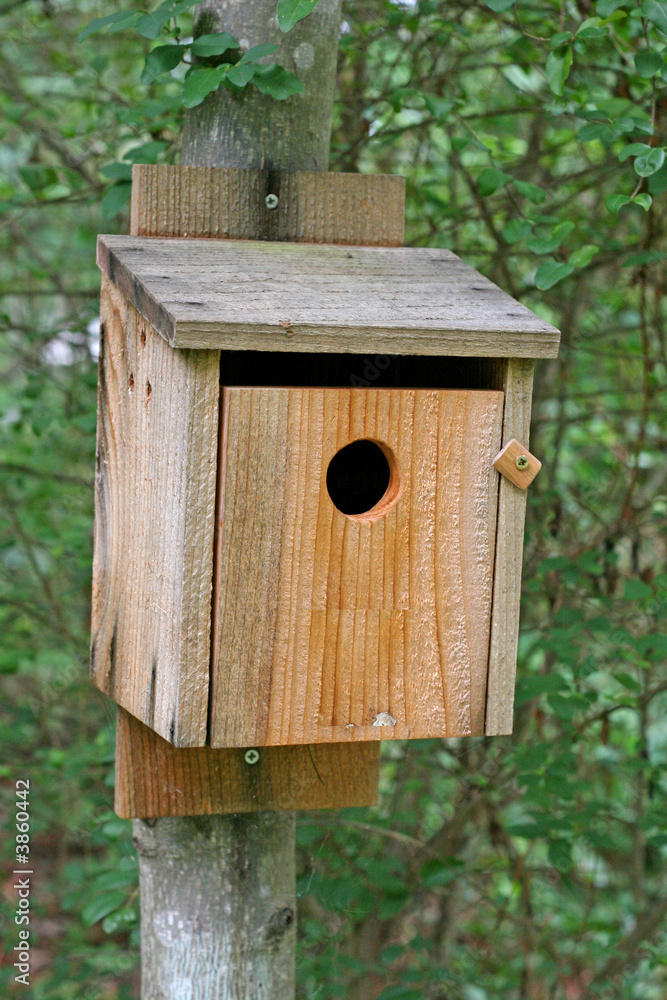 Plank Birdhouse
