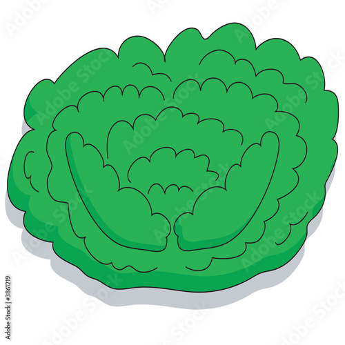 Cartoon of a cabbage or lettuce