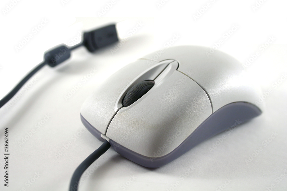White Mouse White Mouse