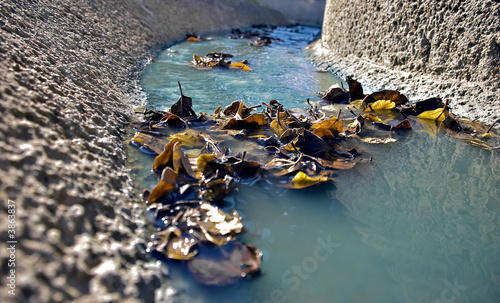 Autumnal water canal