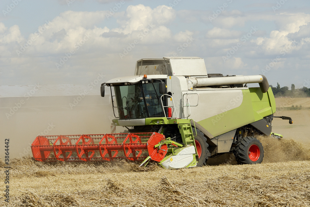 Obraz premium Moisson du blé