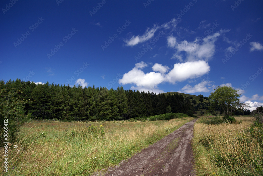 paysage de campagne