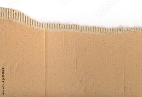 Ripped pieces of corrugated cardboard
