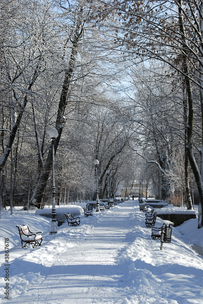 Park alley in winter with a row of red benches
