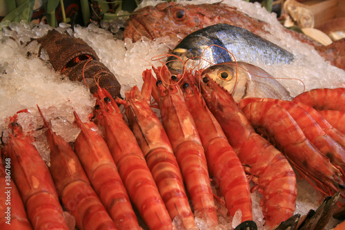 fisch und garnelen