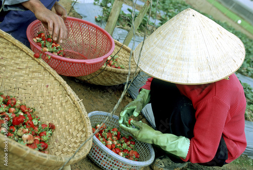 Découverte du Vietnam