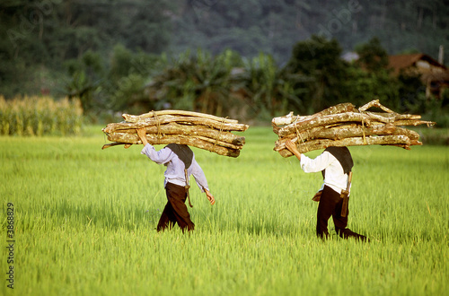 Découverte du Vietnam