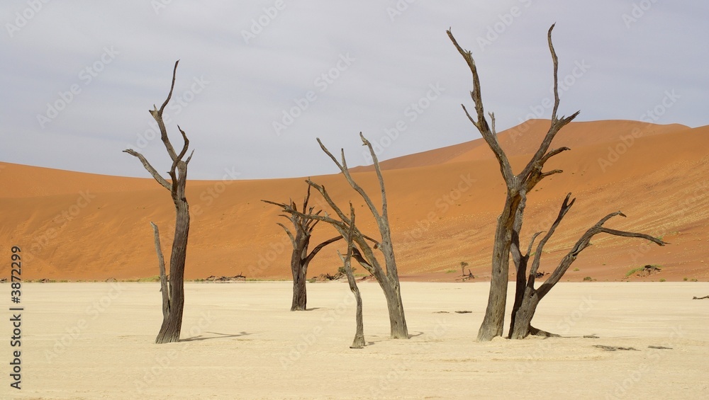 Arbres morts - Namibie - Deadvlei