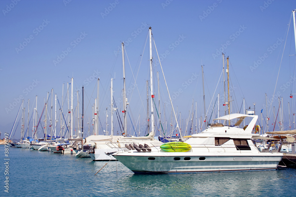 Obraz premium group of white yachts moored at sunny bay.