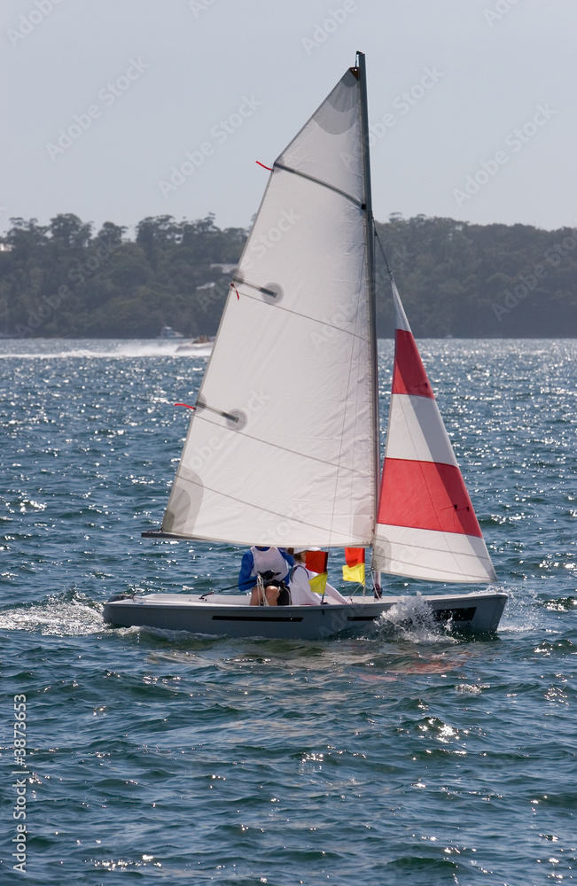 Fototapeta premium A small sail boat on Sydney Harbour