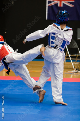 Martial arts competitors in action