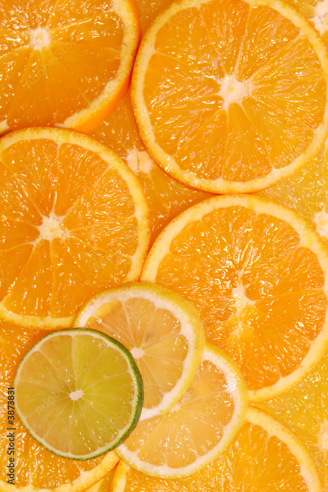Citrus background ~ slices of organge, lemon and lime. Citrus background ~ slices of organge, lemon and lime.