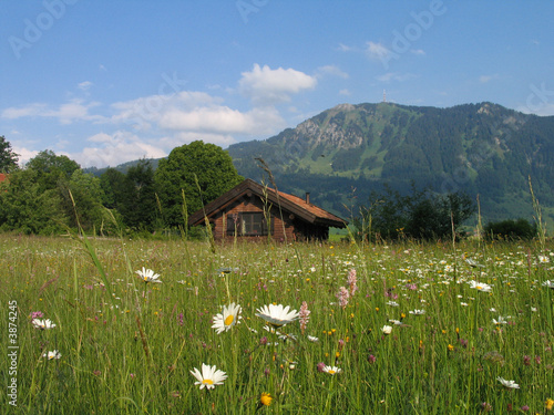 Hütte im Allgäu