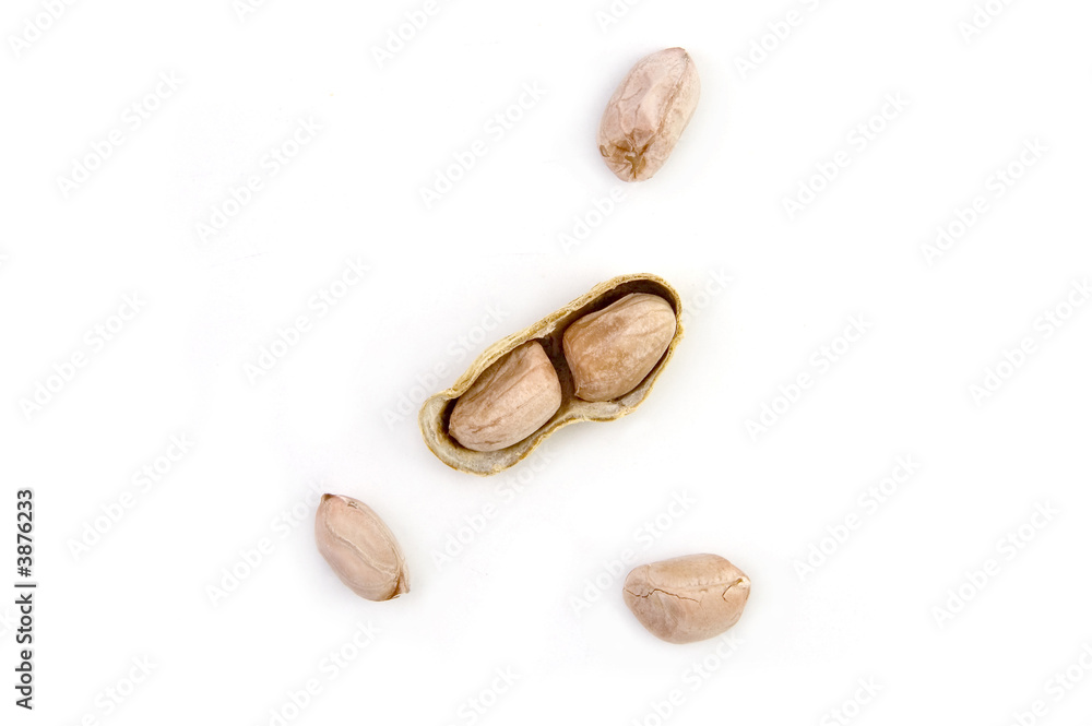 Ground Nuts Exposed with shell on white background Ground Nuts Exposed with shell on white background