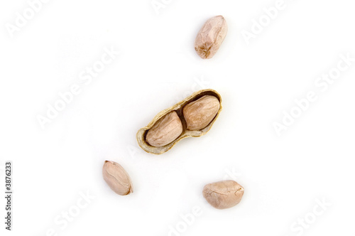 Ground Nuts Exposed with shell on white background
