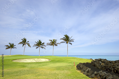 Golf Course on Lava Ocean Shore of Kona Island, Hawaii © EuToch