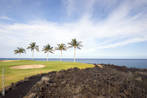 Golf Course on Black Lava Ocean Shore of Kona Island, HI