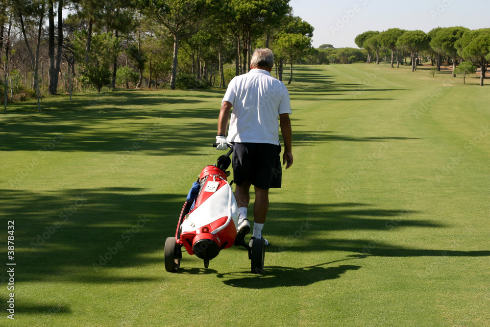 Obraz premium Golfer