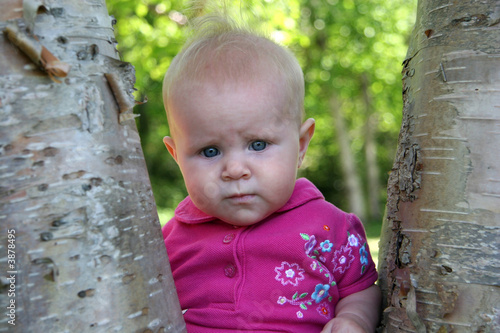Little Baby Girl iposing in a tree in summer photo