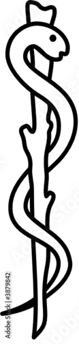 medical caducee